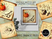 Load image into Gallery viewer, Vintage Sketch Art Graphics: 4 x Sketch of garden vegetables on old paper background, Digital Download Jpeg Images