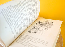 Load image into Gallery viewer, The Adventures Of Binkle And Flip Enid Blyton hardback book children's 1967, Vintage Children Story Book