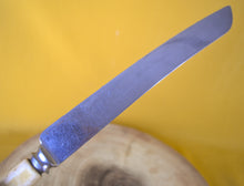 Load image into Gallery viewer, Cathedral Cutlery Robert F Wilding & Co Bread Knife, Vintage Plastic Cream Handle Kitchen Knife
