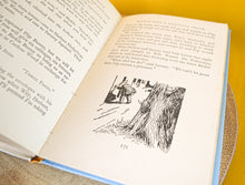 Load image into Gallery viewer, The Adventures Of Binkle And Flip Enid Blyton hardback book children's 1967, Vintage Children Story Book