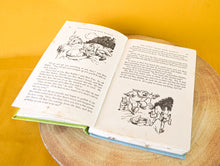 Load image into Gallery viewer, Brer Rabbit's a Rascal by Enid Blyton (Hardback, 1965) , Vintage Children Story Book