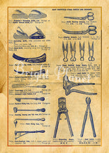 Load image into Gallery viewer, 6 Vintage Digital Prints Images - Veterinary Instruments, A4 Size, 300dpi, Instant Digital Delivery