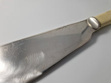 Load image into Gallery viewer, Copy of Large Vintage EPNS Silver Plated Fish Serving  Knife, Cream Plastic Handle
