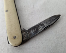 Load image into Gallery viewer, Vintage Antique Wigfall &amp; Co Pocket Knife , Cream Plastic Handle , Double Blade
