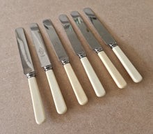 Load image into Gallery viewer, Set of Six Shefield Stainless Steel Dinner Knives 23.5cm long Faux Bone Handle
