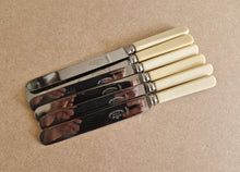 Load image into Gallery viewer, Set of Six Shefield Stainless Steel Dinner Knives 23.5cm long Faux Bone Handle
