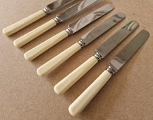 Load image into Gallery viewer, Set of Six Vintage R Bond &amp; Co Northgate Darlington Faux Bone Handled Knives 20.5cm long
