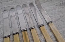 Load image into Gallery viewer, Set of Six Shefield Random Stainless Steel Dinner Knives Faux Bone Handle
