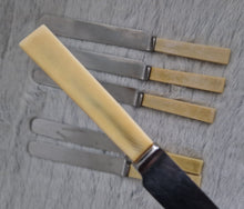 Load image into Gallery viewer, Set of Six Shefield Random Stainless Steel Dinner Knives Faux Bone Handle
