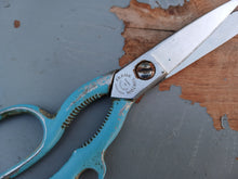 Load image into Gallery viewer, Vintage Frank Burton Sheffield Kitchen Scissors Shears Blue Handle 19cm England
