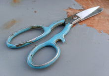 Load image into Gallery viewer, Vintage Frank Burton Sheffield Kitchen Scissors Shears Blue Handle 19cm England
