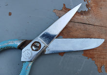 Load image into Gallery viewer, Vintage Frank Burton Sheffield Kitchen Scissors Shears Blue Handle 19cm England
