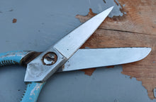 Load image into Gallery viewer, Vintage Frank Burton Sheffield Kitchen Scissors Shears Blue Handle 19cm England
