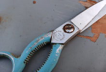 Load image into Gallery viewer, Vintage Frank Burton Sheffield Kitchen Scissors Shears Blue Handle 19cm England
