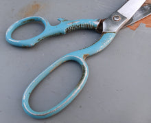 Load image into Gallery viewer, Vintage Frank Burton Sheffield Kitchen Scissors Shears Blue Handle 19cm England
