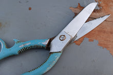 Load image into Gallery viewer, Vintage Frank Burton Sheffield Kitchen Scissors Shears Blue Handle 19cm England
