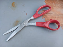 Load image into Gallery viewer, Wiltshire StaySharp 21cm Kitchen Scissors Shears Red Handle Multi Purpose
