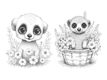 Load image into Gallery viewer, 25 Cute Flower Meerkats Coloring Book – For Adults and Kids | Grayscale Coloring Pages | Instant Download | Printable PDF

