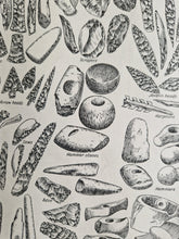 Load image into Gallery viewer, Old Flint Image Illustrations Vintage Drawing Image Book Plate, What Was That Flint Used For? Old An
