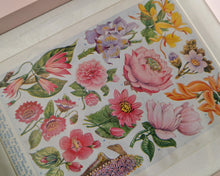 Load image into Gallery viewer, Vintage Floral Botanical Print in Pink Frame – Vibrant Flowers Art – 28cm x 23cm x 3cm
