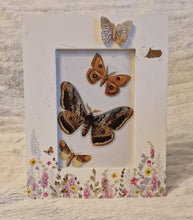 Load image into Gallery viewer, Vintage Print Moth Butterfly Cut-out Decoupage Floral Picture Frame Wooden Frame
