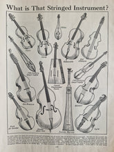 Load image into Gallery viewer, Stringed Musical Instruments  Image Illustrations Vintage Drawing Image Book Plate, What is That Str
