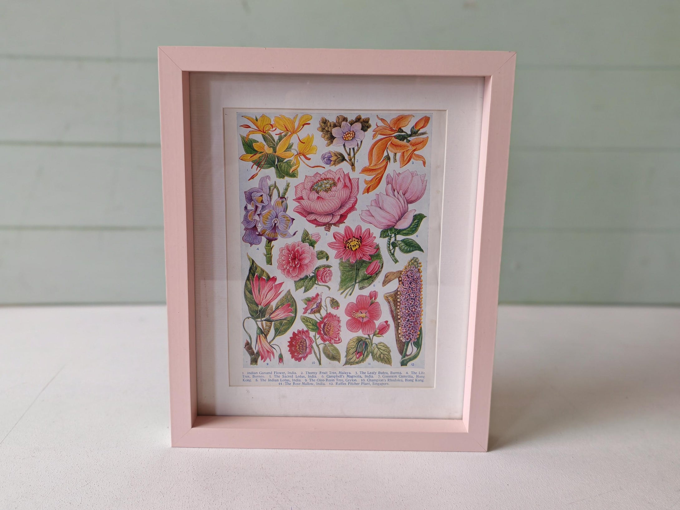 Vintage Floral Botanical Print in Pink Frame – Vibrant Flowers Art – 28cm x 23cm x 3cm