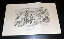 Load image into Gallery viewer, Vintage Large Print: IN THE MELEE, PUNCH Cartoon, Armour Knight &amp; Horse
