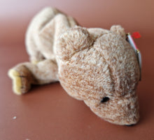 Load image into Gallery viewer, TY Beanie Baby Bean bag Plush Soft Toy Pecan Bear Retired 1999 With Tag Vintage
