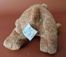 Load image into Gallery viewer, TY Beanie Baby Bean bag Plush Soft Toy Pecan Bear Retired 1999 With Tag Vintage
