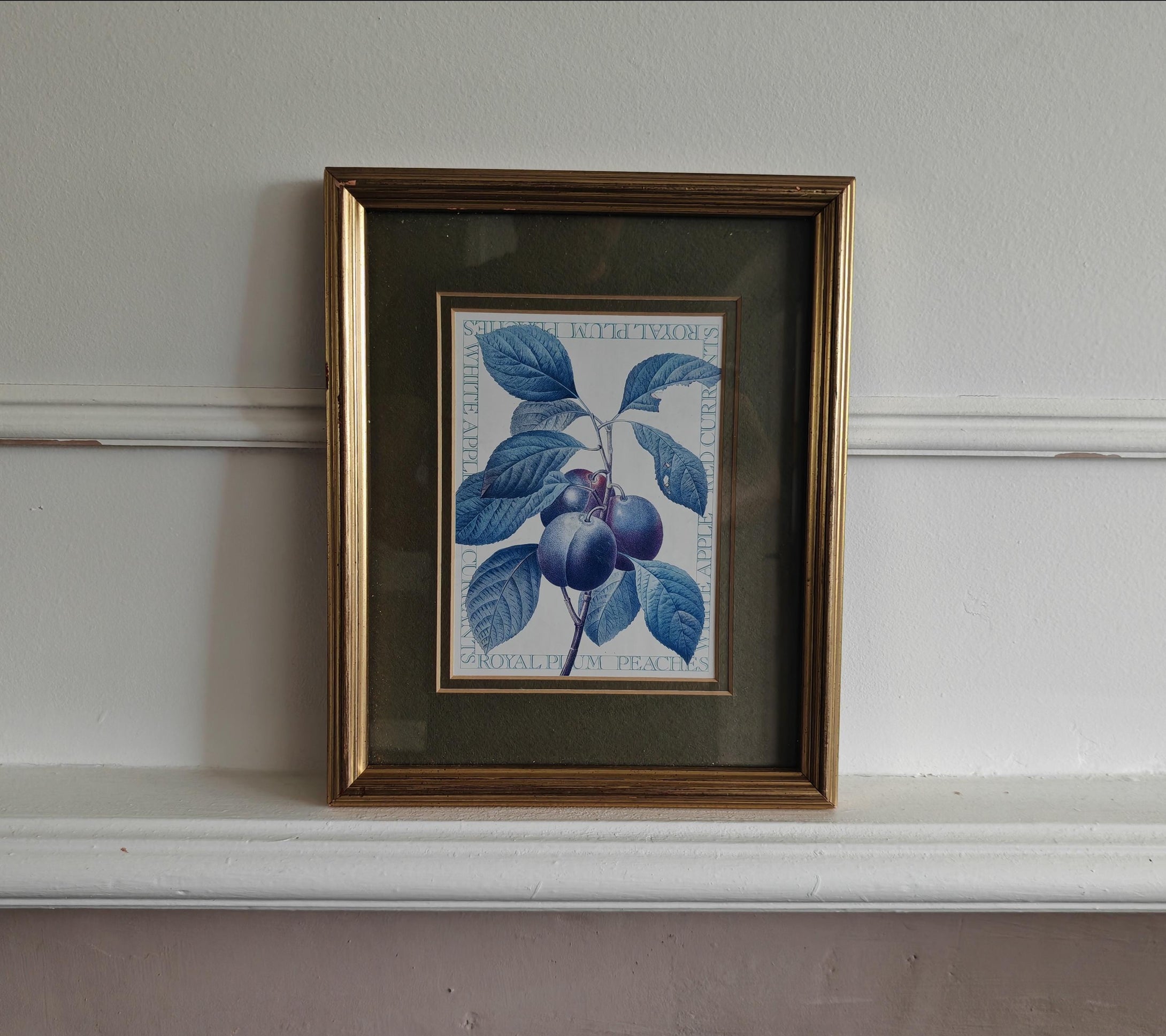 Vintage Botanical Print Royal Plum by Pierre-Joseph Redouté , Galison Museum Reproduction – 28x22.5c
