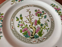 Load image into Gallery viewer, Royal Grafton  Vintage Ceramic Round Plate Indian Tree Older Pattern Floral Flower Plant 24cm Diamet
