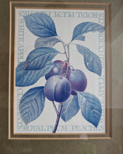 Load image into Gallery viewer, Vintage Botanical Print Royal Plum by Pierre-Joseph Redouté , Galison Museum Reproduction – 28x22.5c
