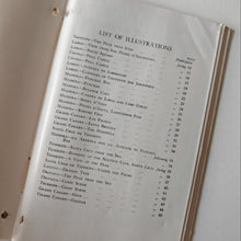 Load image into Gallery viewer, Yeoward Line 1930s Souvenir Guide Book - In Search Of The Sun, Canary Islands Cr
