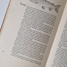 Load image into Gallery viewer, The New ABC of Fishing Vintage Hardback Book 1967 Andre Deutsch Collin Willock

