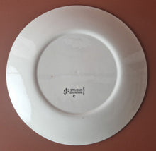 Load image into Gallery viewer, Vintage J &amp; G Meakin Capri Replacement Plate 70's Retro Dining , 23cm diameter

