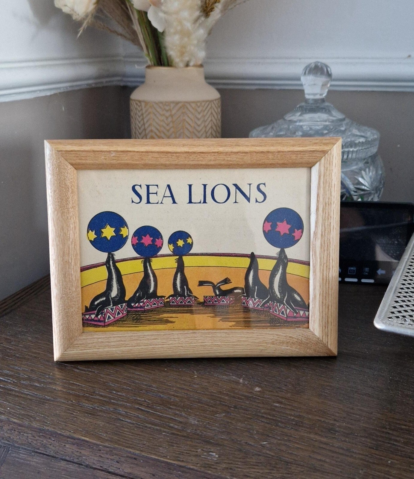 Book Plate Print Picture Frame Sea Lions Performing At Carnival Circus Framed
