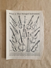 Load image into Gallery viewer, Stringed Musical Instruments  Image Illustrations Vintage Drawing Image Book Plate, What is That Str
