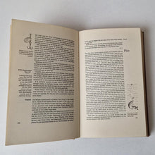 Load image into Gallery viewer, The New ABC of Fishing Vintage Hardback Book 1967 Andre Deutsch Collin Willock
