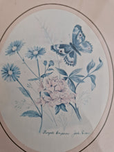 Load image into Gallery viewer, Vintage Botanical Flower Butterfly Print Small Picture Frame ‘Purple Emperor; Wooden Gold Tone E
