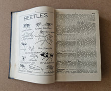 Load image into Gallery viewer, The Daily Express Encyclopædia Volume II BED To CIG 1934 Publication
