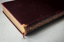 Load image into Gallery viewer, Lavengro: Scholar, Gipsy, Priest by George Borrow Illustrated by William Sewell
