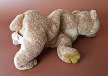 Load image into Gallery viewer, TY Beanie Baby Bean bag Plush Soft Toy Pecan Bear Retired 1999 With Tag Vintage
