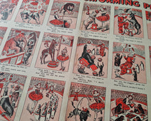 Load image into Gallery viewer, Vintage Circus Print – Jolly Joey and His Performing Pets Double Page Book Plate | 50.5 x 35 cm | An

