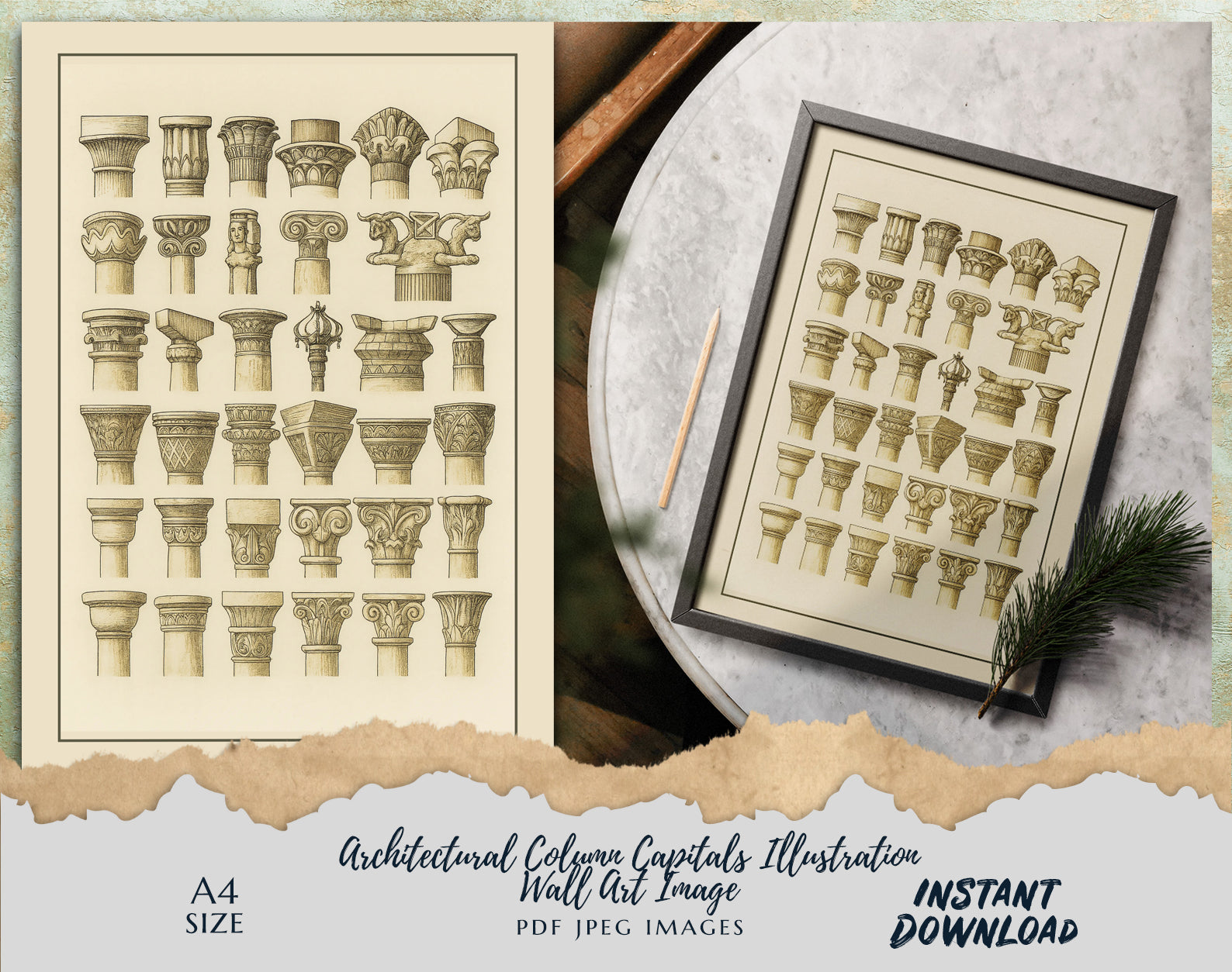 Architectural Column Capitals Illustration – Vintage Wall Art Digital Download | A4 Size | PDF & JPEG | Instant Download