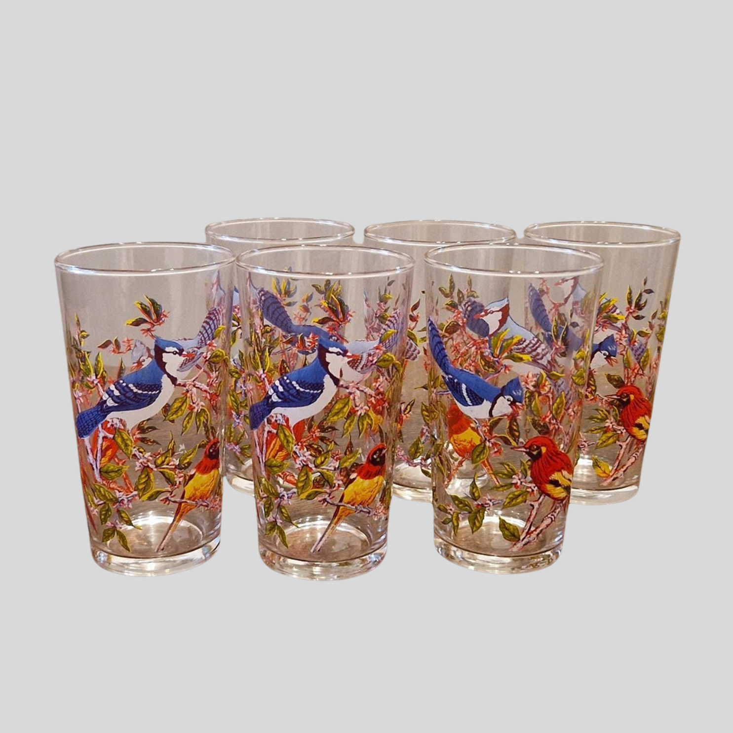 Vintage Bird-Themed Glasses Set Retro 10 Piece Drinks Set