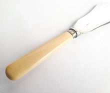 Load image into Gallery viewer, Large Vintage EPNS Silver Plated Fish Serving  Knife, Cream Plastic Handle
