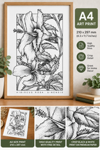 Load image into Gallery viewer, Hibiscus Rosa Sinensis Botanical Art Print A4 Black White Floral Wall Decor
