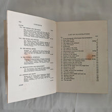 Load image into Gallery viewer, THE HUMAN BODY by TREVOR HEATON 1928 Reprinted Vintage Book George G Harrap &amp; Co Ltd

