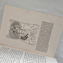 Load image into Gallery viewer, THE HUMAN BODY by TREVOR HEATON 1928 Reprinted Vintage Book George G Harrap &amp; Co Ltd
